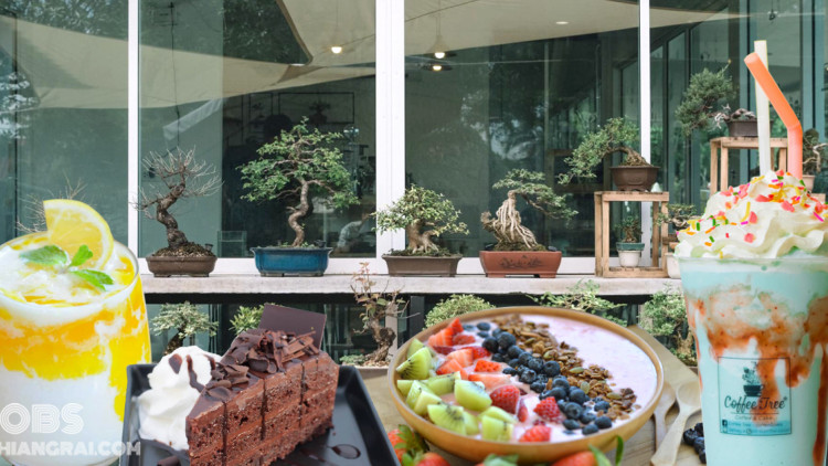 คาเฟ่น่ารักของคนรักบอนไซ ‘Coffee Tree – Coffee&amp;Cake’